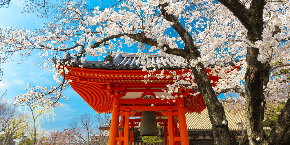 Cultural Etiquette: What to Know Before Visiting Japan