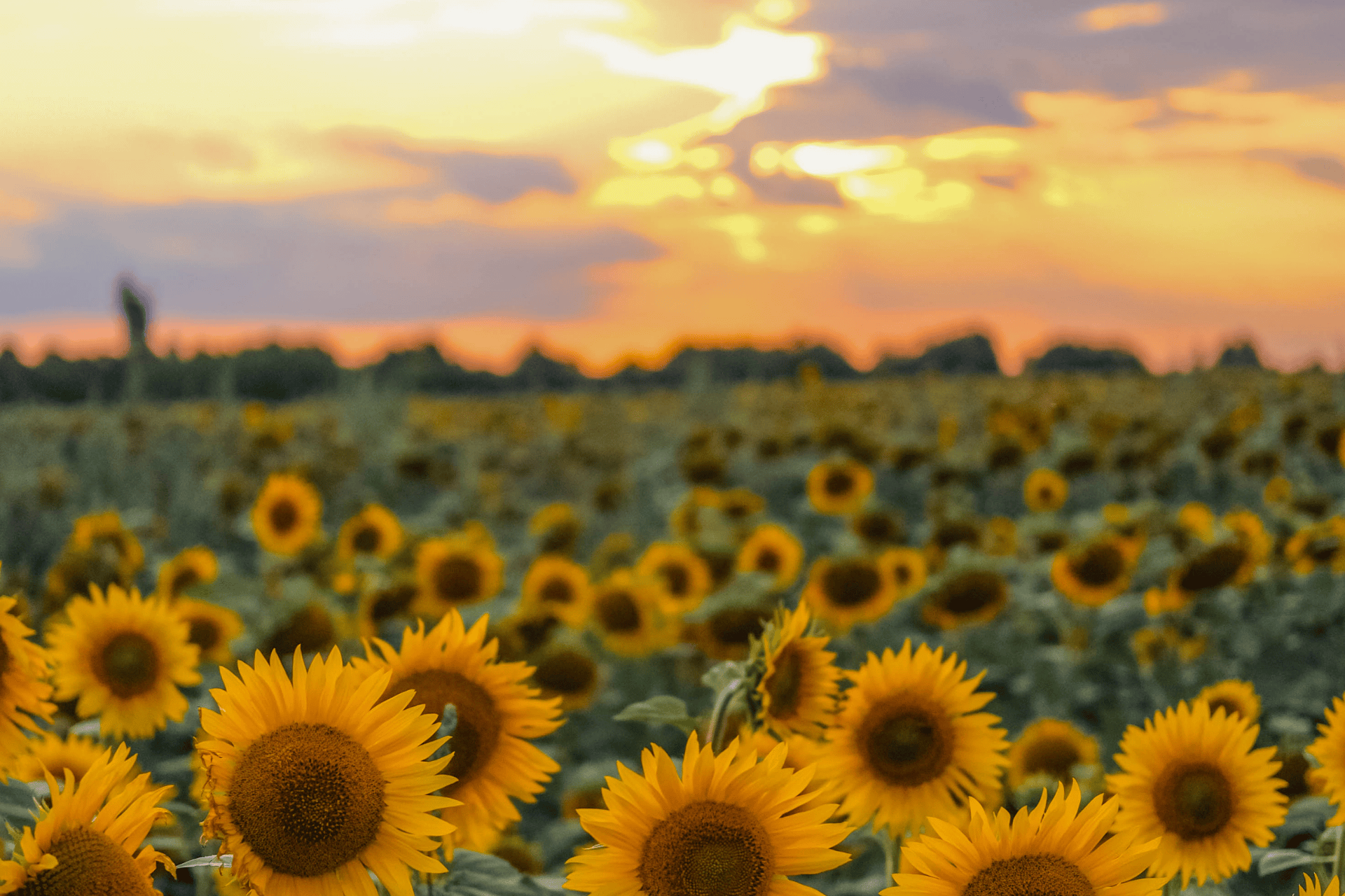 The Ultimate 10-Day Itinerary for Exploring Ukraine