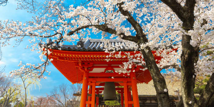 Cultural Etiquette: What to Know Before Visiting Japan