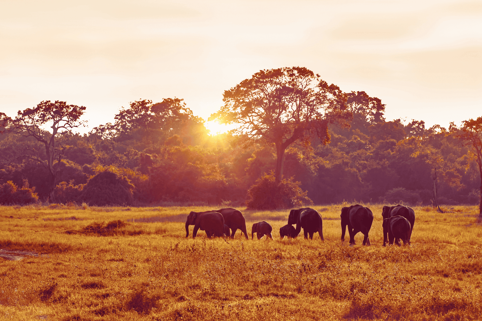 Africa's Most Iconic & Hidden Destinations